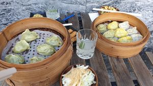Vegan dumplings, salad, springrolls, and delicious lemonade at Wei&Wei in Aachen