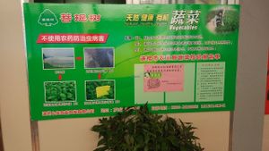 Organic food is used at PuTiShu Banyan Tree in Zhangzhou