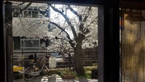 view from restaurant at Cafe Loop in Kawasaki