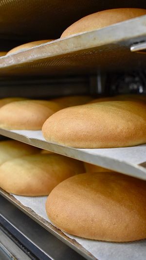  at Epoch Vegan Burger in Budapest