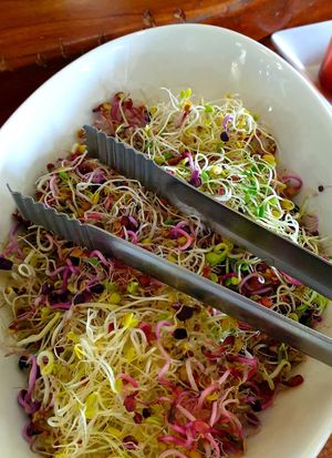  at Bitgaram Vegan Buffet 빛가람채식뷔페" in Chungju