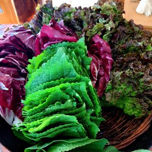  at Bitgaram Vegan Buffet 빛가람채식뷔페" in Chungju