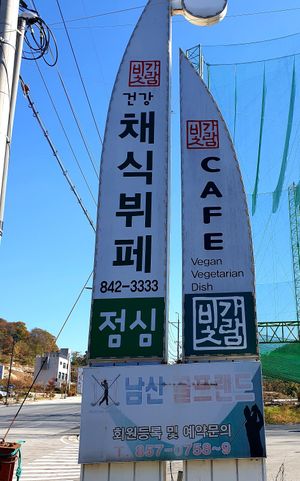 sign on road at Bitgaram Vegan Buffet 빛가람채식뷔페" in Chungju