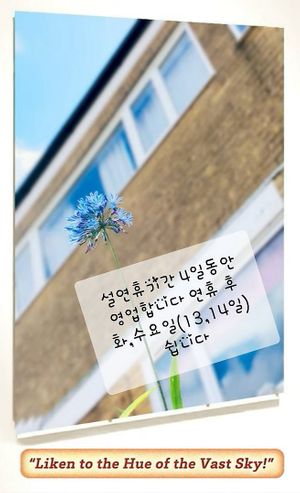  at Bitgaram Vegan Buffet 빛가람채식뷔페" in Chungju