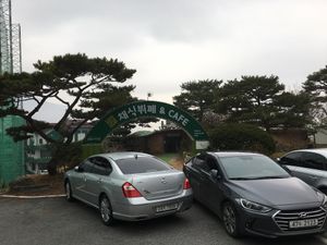 This is it at Bitgaram Vegan Buffet 빛가람채식뷔페" in Chungju