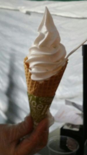 vegan soft serve at I Should Coco Ice Cream in Brisbane