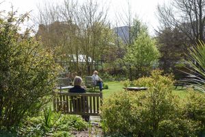 beautiful garden at World Peace Cafe  in Brighton