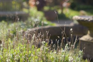 peaceful at World Peace Cafe  in Brighton