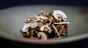 Maitake mushroom + smoked Japanese turnip at Flat Three  in West London