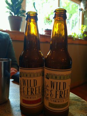 Kombucha at The Gold Leaf in Fort Collins