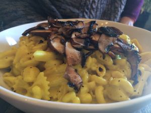 Their big bowl of Mac n Shew topped with grilled portobellos. So comforting! at The Gold Leaf in Fort Collins