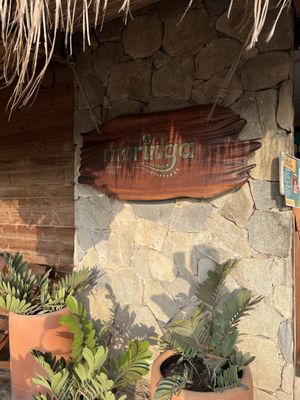   at Moringa Fresh and Wild  in Puerto Escondido