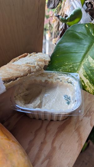  at Moringa Fresh and Wild  in Puerto Escondido