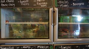 Lots of greens! (kale, bok choy, baby spinach, oriental mix, etc.) at Moringa Fresh and Wild  in Puerto Escondido