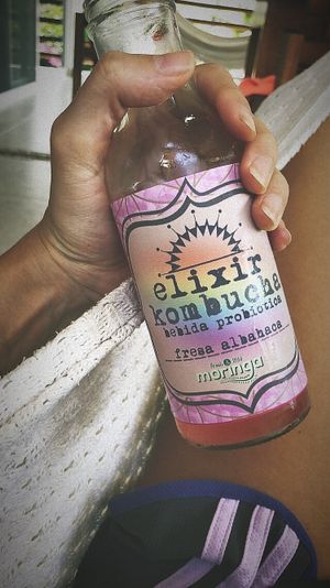 Great kombucha! at Moringa Fresh and Wild  in Puerto Escondido