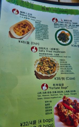 Menu page. The menu is a lot larger, I only took photos of a few of the pages. at Shuizhong Liansushi - Lotus Veg in Suzhou