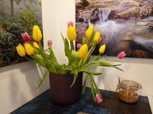 Interior at Cafe Kogi in Cologne