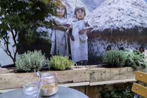 Urban gardening in front of Kogi Boys at Cafe Kogi in Cologne