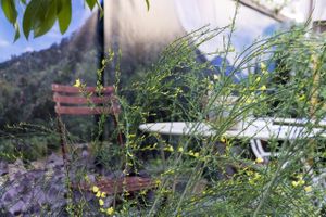 Under The Trees at Cafe Kogi in Cologne