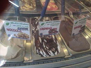 Vegan flavours are clearly labeled at Il Gelatiere in Naples
