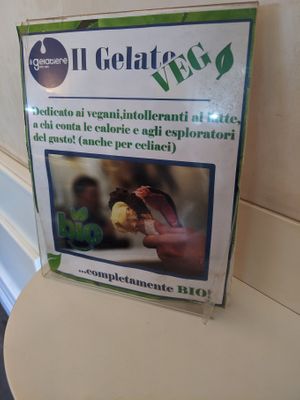 A sign in the shop that says: "Dedicated to vegans, the lactose intolerant, those who count calories,and to explorers
 of taste!  (also for celiacs) ...completely organic!" at Il Gelatiere in Naples