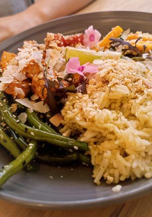 Buddha bowl at Wilk Syty in Wroclaw