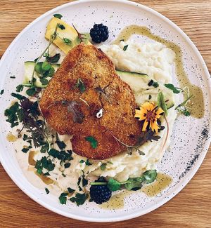 schaboszczak z bliska at Wilk Syty in Wroclaw