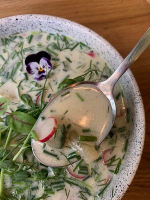 Kwietna zupa at Wilk Syty in Wroclaw