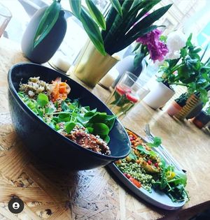  at Wilk Syty in Wroclaw