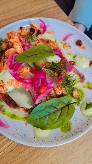  at Wilk Syty in Wroclaw