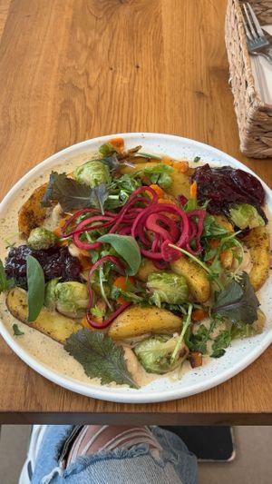  at Wilk Syty in Wroclaw