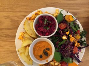 wilk dish of the day at Wilk Syty in Wroclaw