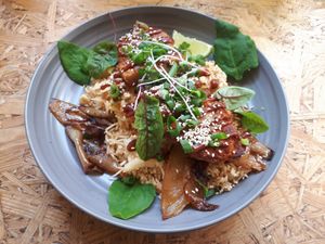 Tonkatsu at Wilk Syty in Wroclaw