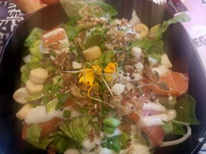 Zalmon Caesar at Vegan Junk Food Bar - 2D in Amsterdam