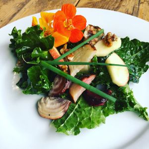raw food salad at The Organic Bee Cafe in Wadebridge