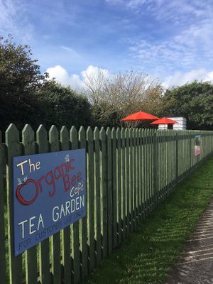 Tea Garden!  at The Organic Bee Cafe in Wadebridge