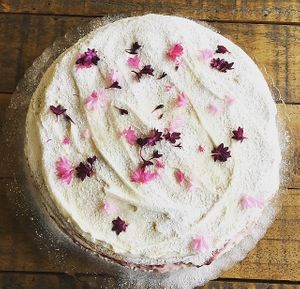 VEGAN & GLUTEN FREE victoria sponge at The Organic Bee Cafe in Wadebridge