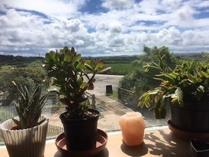 Views from the cafe at The Organic Bee Cafe in Wadebridge