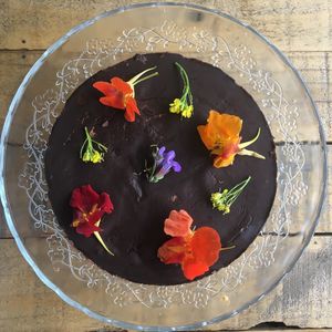 VEGAN & GLUTEN FREE peanut butter cake at The Organic Bee Cafe in Wadebridge