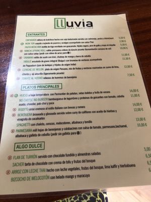 Menu (all vegan except the two dishes with „v“) at Lluvia in Alicante