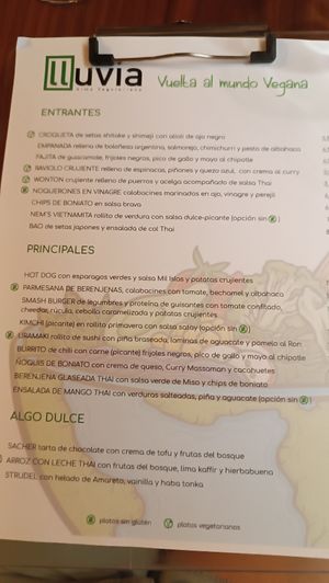 Menu carte at Lluvia in Alicante
