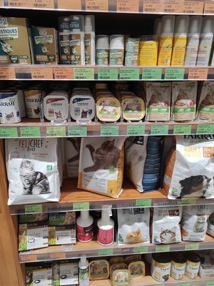 Cat at Biocoop Nantes Republique in Nantes