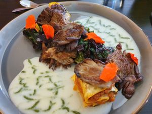 Lasagne of green and yellow courgette with oyster mushrooms and chard at Farbenfroh in Essen