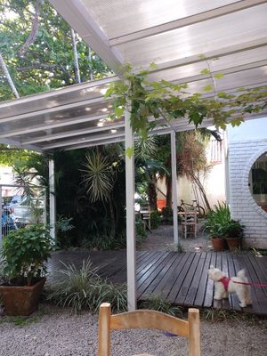 Pet friendly at Espaço Nutrir - Corpo Mente Espirito in Florianopolis