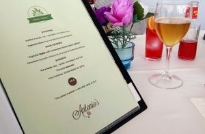 Vegan menu, English and Spanish available. at Antonio's Restaurant in Cartagena