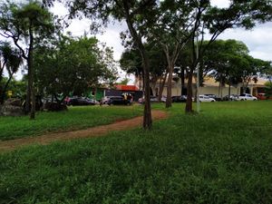 In front of a green square at Vegan Heart in Sorocaba