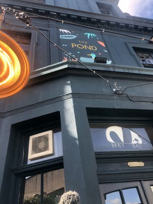   at The Pond in Brighton