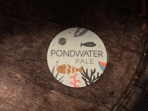 Great variety of drinks! at The Pond in Brighton