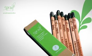Pencils that you can plant and something grows at Kalcek - Smartinska in Ljubljana