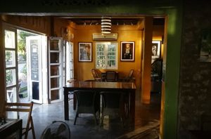  at Big Tree Cafe in Luang Prabang